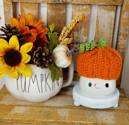 pumpkin mug hat